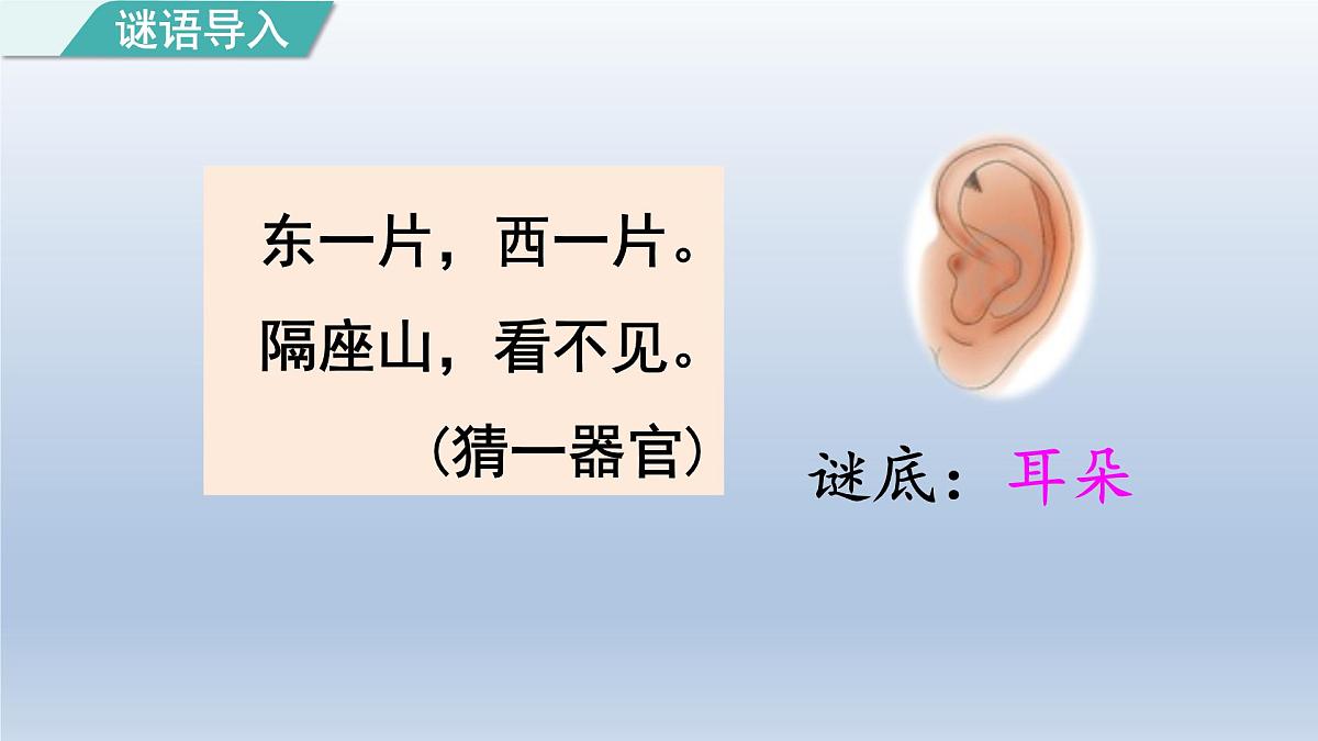 2025春二年级语文下册第7单元第19课大象的耳朵第一课时课件（统编版）第2页