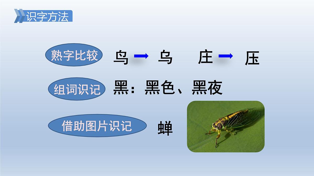 2025春二年级语文下册第6单元第16课雷雨第一课时课件（统编版）第7页