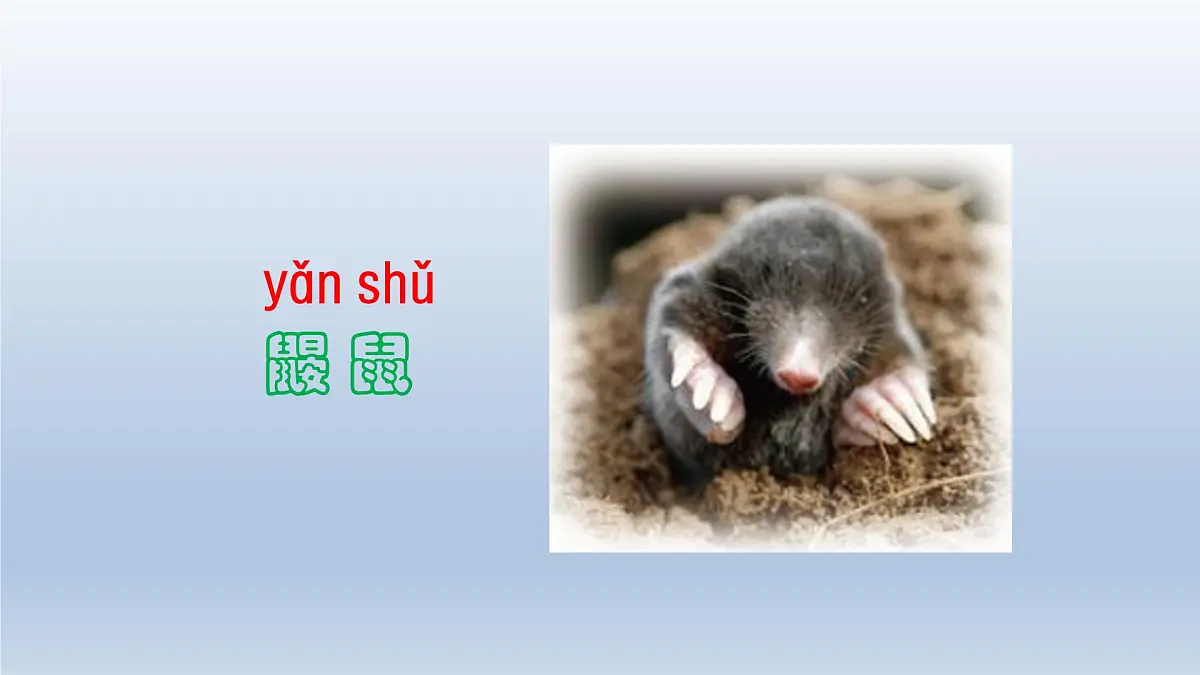 2025春二年级语文下册第1单元第3课开满鲜花的小路第一课时课件（统编版）第4页