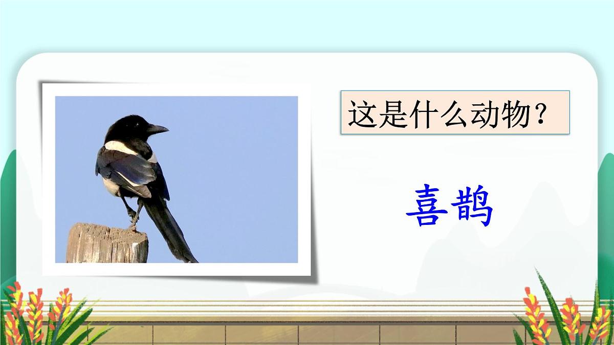 统编版二年级语文下册教学课件《枫树上的喜鹊》第2页