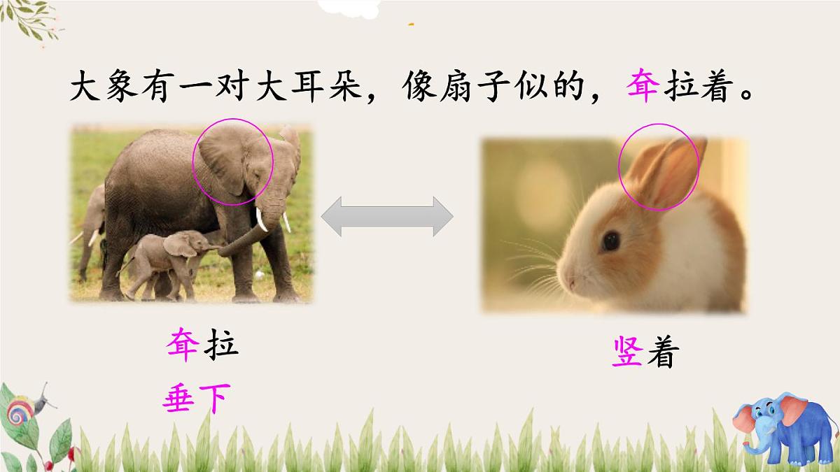 统编版二年级语文下册教学课件《大象的耳朵》第2页