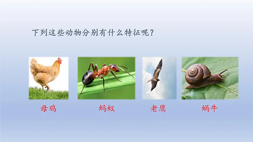 2025春三年级语文下册第8单元习作：这样想象真有趣第一课时课件（统编版）第2页