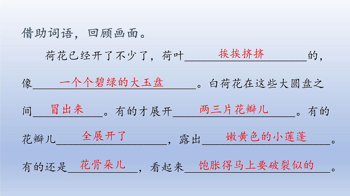 2025春三年级语文下册第1单元3荷花第二课时课件（统编版）第3页