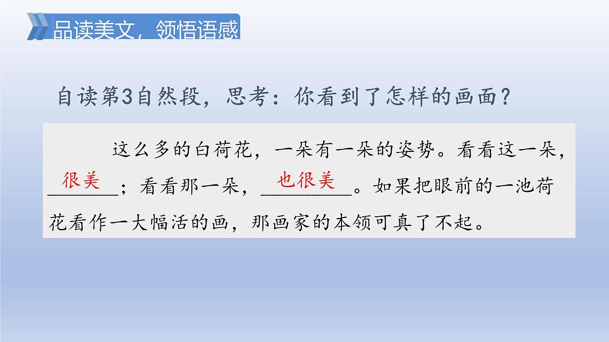 2025春三年级语文下册第1单元3荷花第二课时课件（统编版）第4页