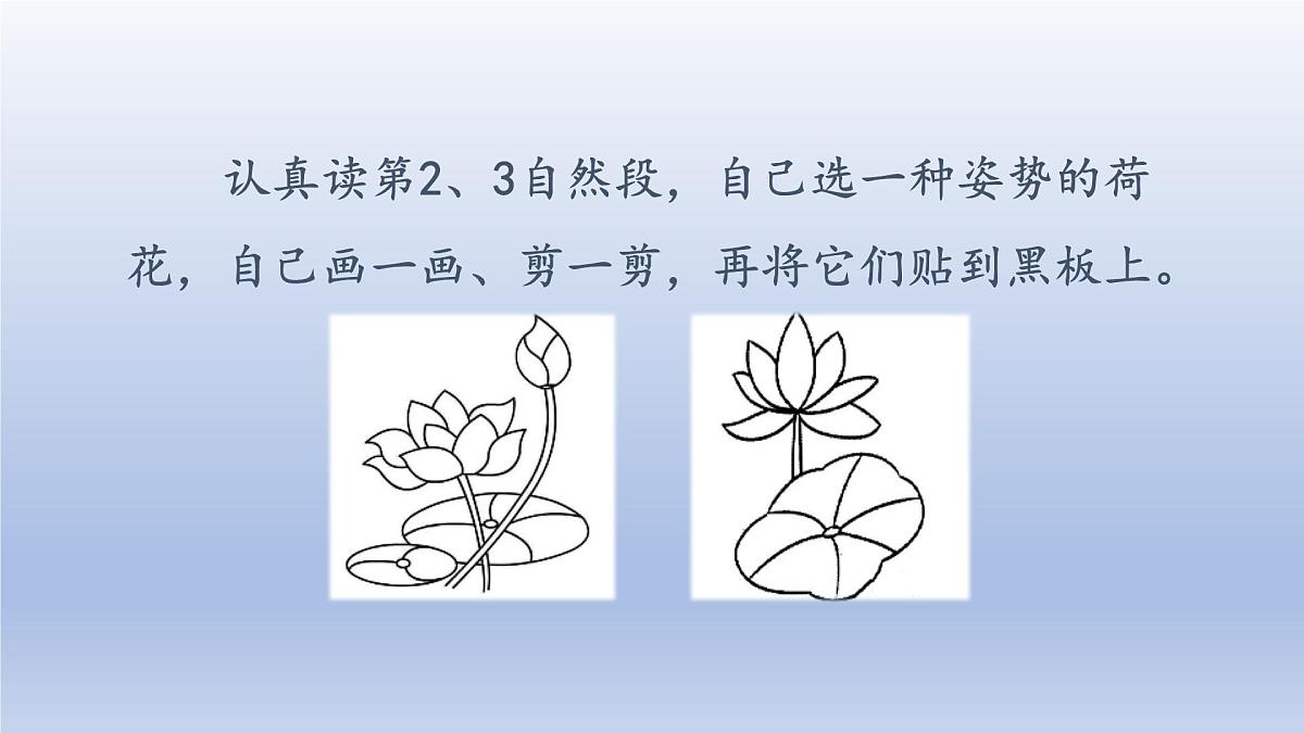 2025春三年级语文下册第1单元3荷花第二课时课件（统编版）第7页