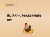 （教学课件）14.母鸡