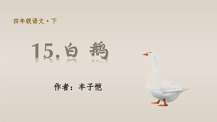 （教学课件）15.白鹅第4页