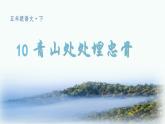 （教学课件）10 青山处处埋忠骨
