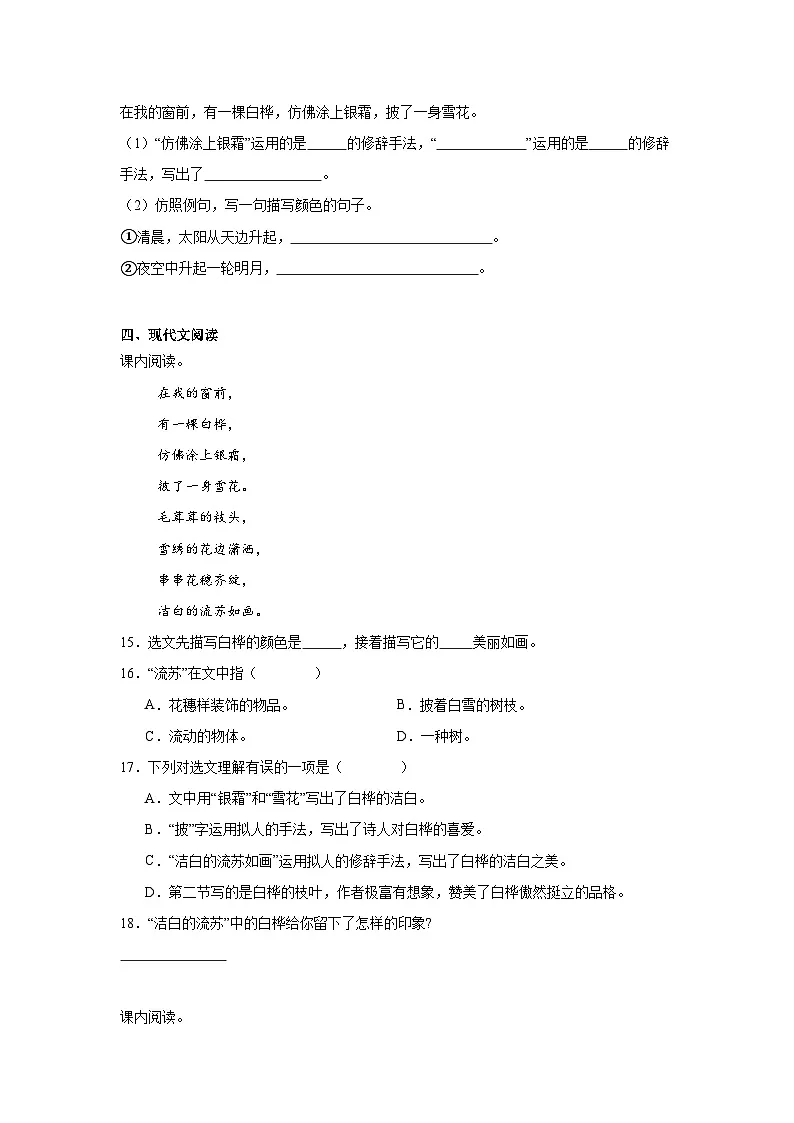 11.白桦课堂通行证 统编版语文四年级下册同步练习第3页