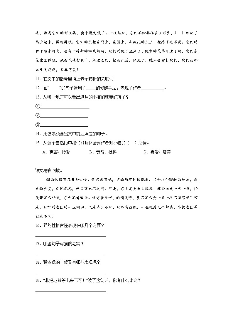 13.猫课堂通行证  统编版语文四年级下册同步练习第3页