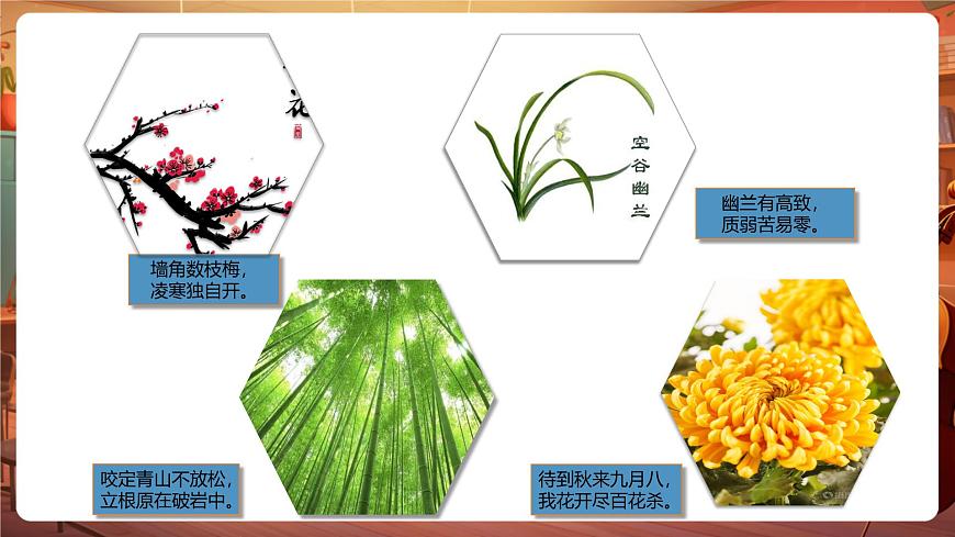 11白桦 第1课时 课件第2页