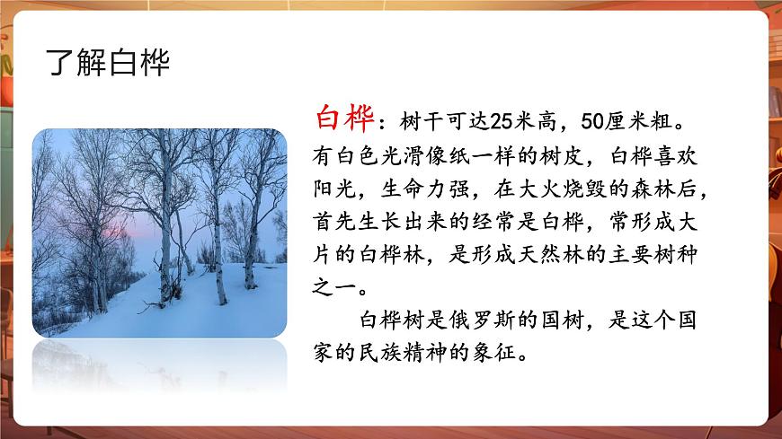 11白桦 第1课时 课件第3页