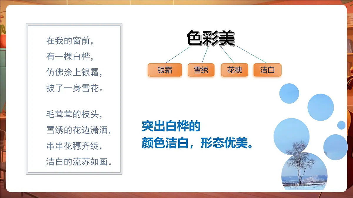 11白桦 第2课时 课件第5页