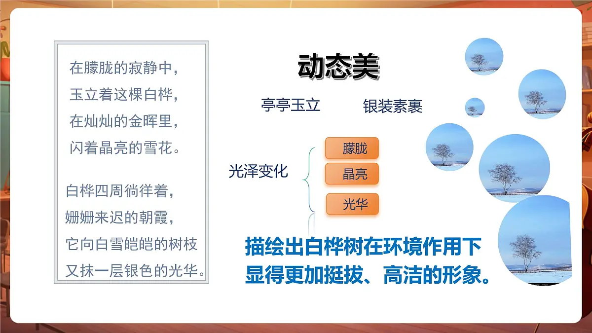 11白桦 第2课时 课件第8页