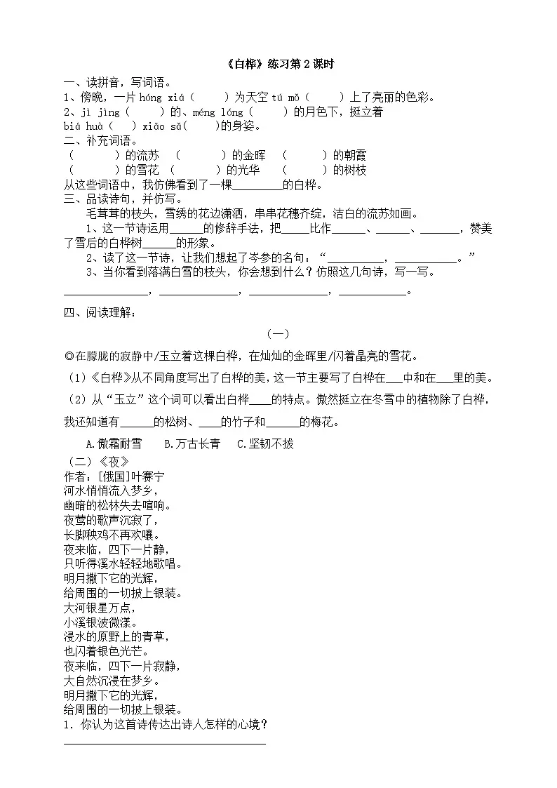 11《白桦》第2课时 练习第1页