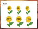 【核心素養(yǎng)優(yōu)質(zhì)課】部編版語文四下第13課《貓》第2課時(shí)+同步課件+教案+練習(xí)