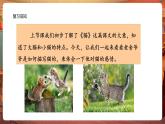 【核心素養(yǎng)優(yōu)質(zhì)課】部編版語文四下第13課《貓》第2課時(shí)+同步課件+教案+練習(xí)