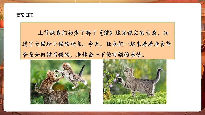 13猫 第2课时 课件第3页
