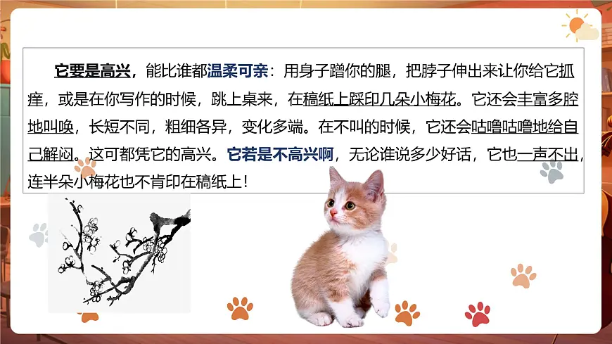 13猫 第2课时 课件第6页