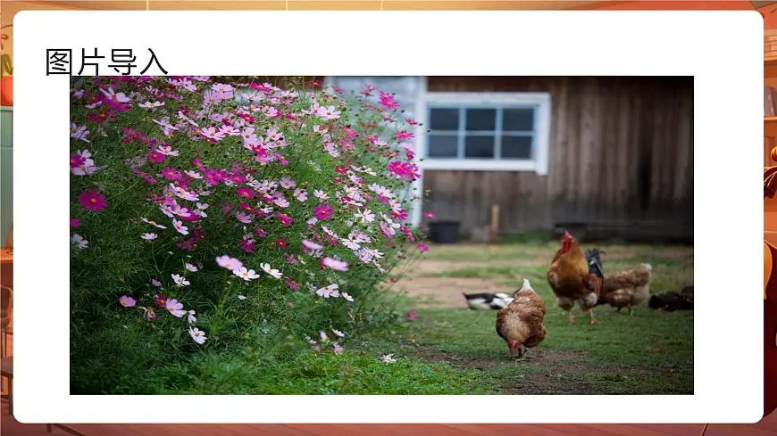 14母鸡 第1课时 课件第2页
