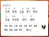 【核心素養(yǎng)優(yōu)質(zhì)課】部編版語文四下第14課《母雞》第1課時(shí)+同步課件+教案+練習(xí)+音頻