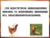 【核心素養(yǎng)優(yōu)質(zhì)課】部編版語文四下第14課《母雞》第2課時(shí)+同步課件+教案+練習(xí)