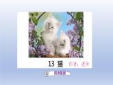 2025春四年级语文下册第四单元13猫课件+素材（统编版2024）