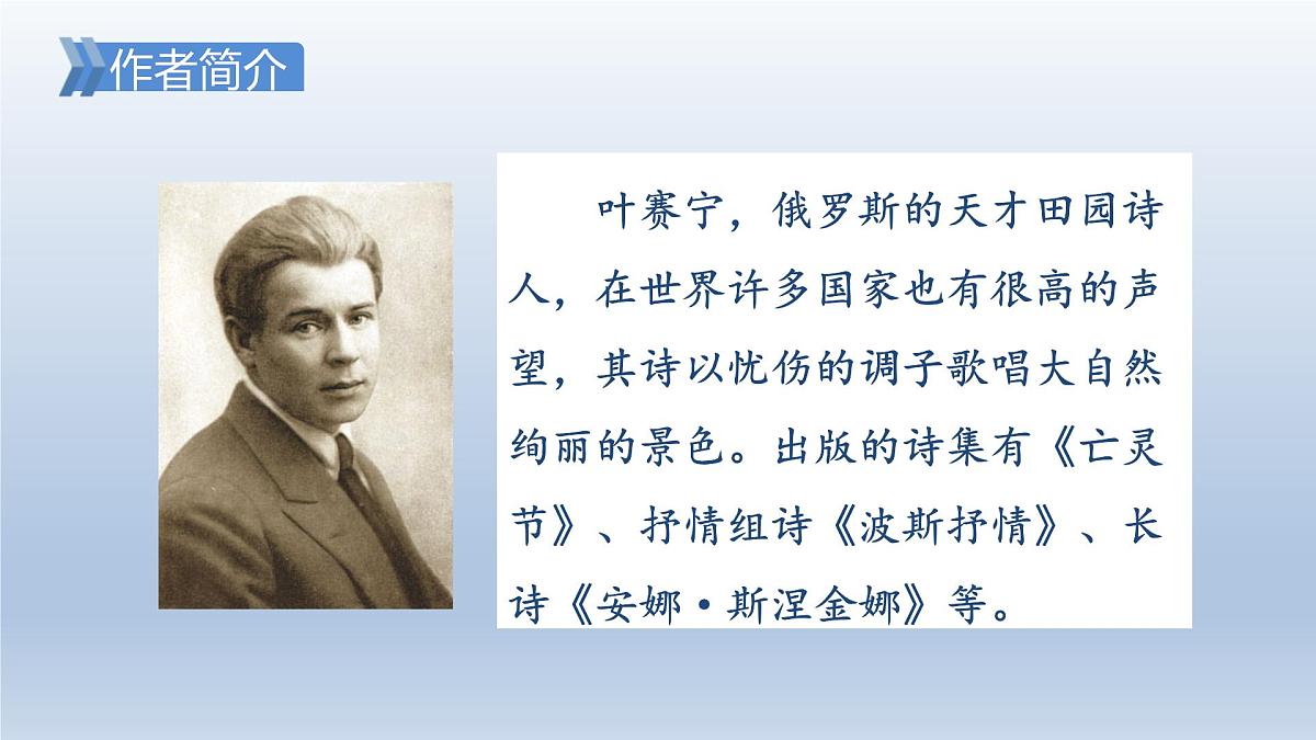 11.白桦 授课课件第3页