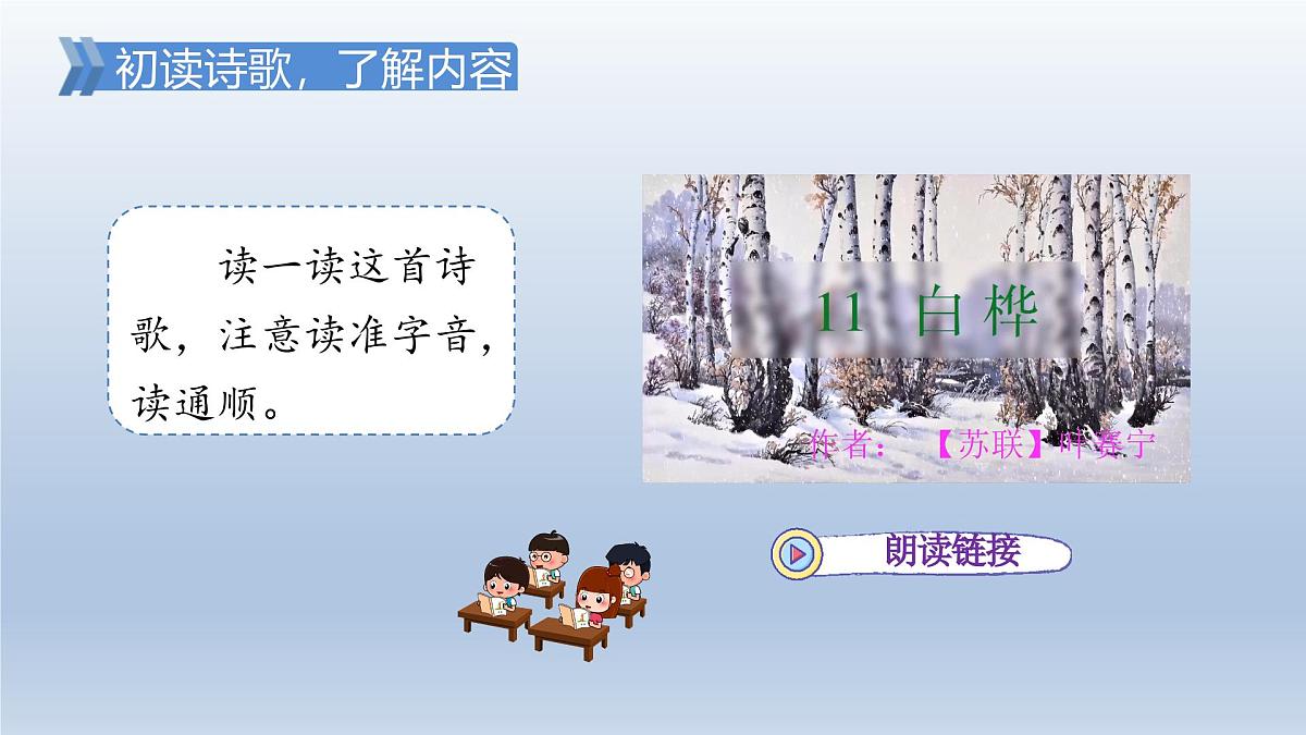 11.白桦 授课课件第5页