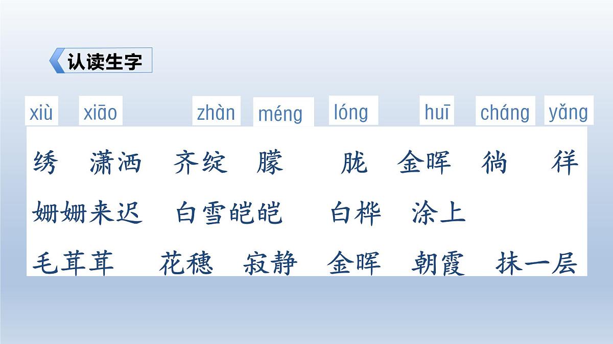 11.白桦 授课课件第6页