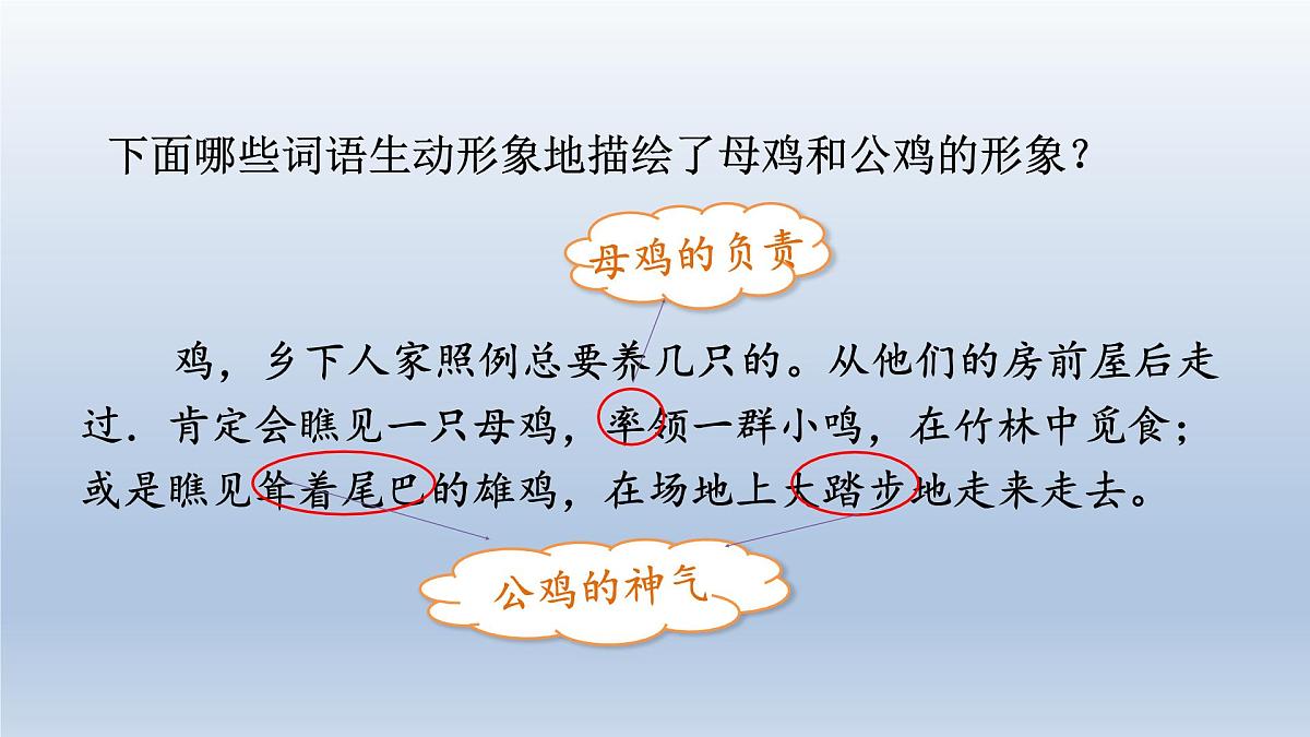 2.乡下人家 第二课时第7页