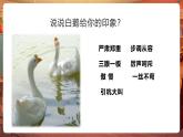【核心素養(yǎng)優(yōu)質(zhì)課】部編版語文四下第15課《白鵝》（第1課時）同步課件+教案+練習(xí)+音頻