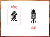 【核心素養(yǎng)優(yōu)質(zhì)課】部編版語文四下第18課《文言文二則囊螢夜讀》同步課件+教案+練習(xí)+音頻