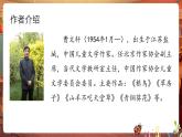 【核心素養(yǎng)優(yōu)質(zhì)課】部編版語(yǔ)文四下第21課《蘆花鞋》課件+教案+練習(xí)+音頻