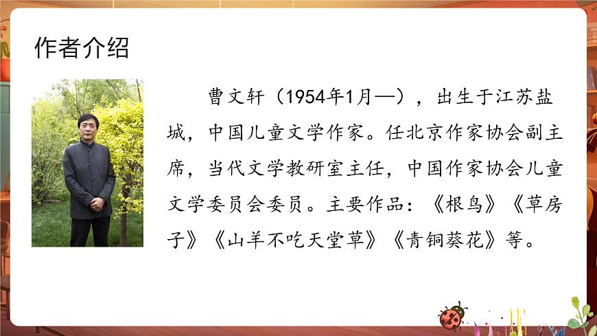 21 芦花鞋 课件第3页