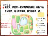 【核心素養(yǎng)優(yōu)質(zhì)課】部編版語文四下第五單元習(xí)作例文+同步課件+教案