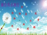 2024-2025学年部编版二年级上册语文同步课件 24 风娃娃