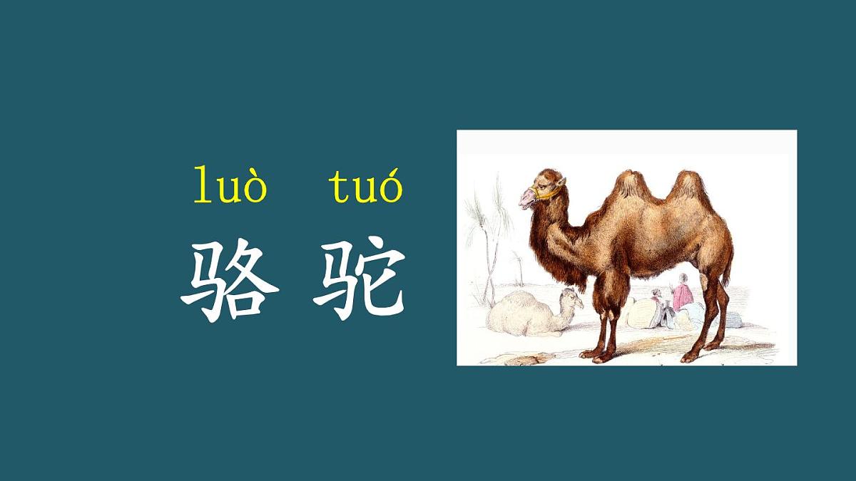 2024-2025学年部编版二年级上册语文同步课件 语文园地七第5页