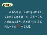 2024-2025学年部编版二年级上册语文同步课件 19 雾在哪里