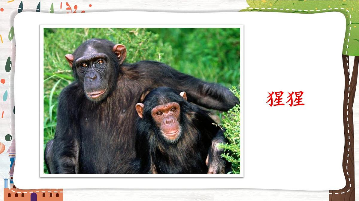 2024-2025学年部编版二年级上册语文教学课件 语文园地八第6页