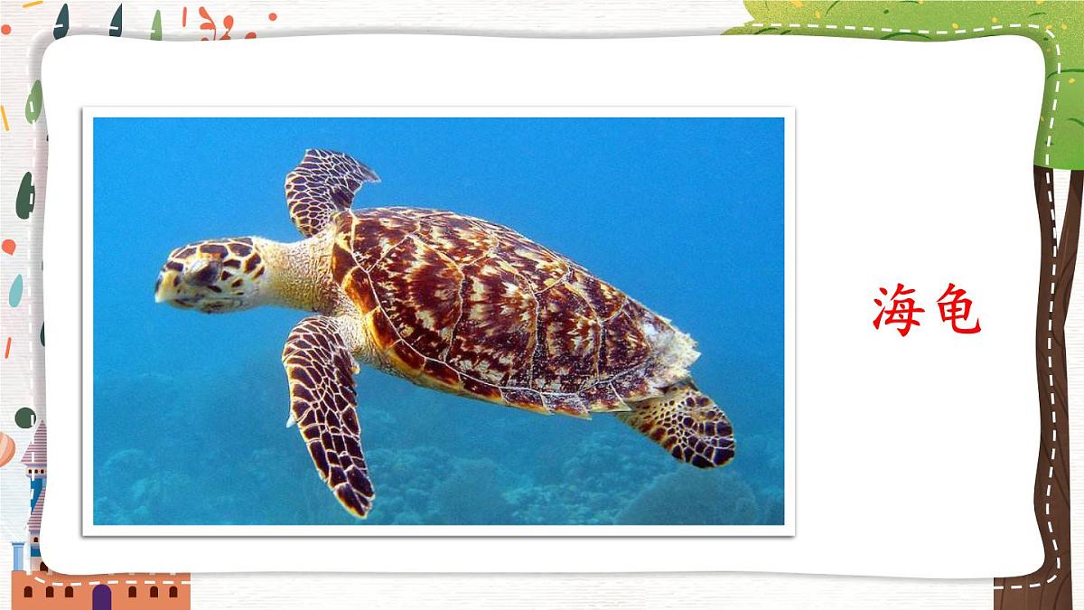 2024-2025学年部编版二年级上册语文教学课件 语文园地八第7页