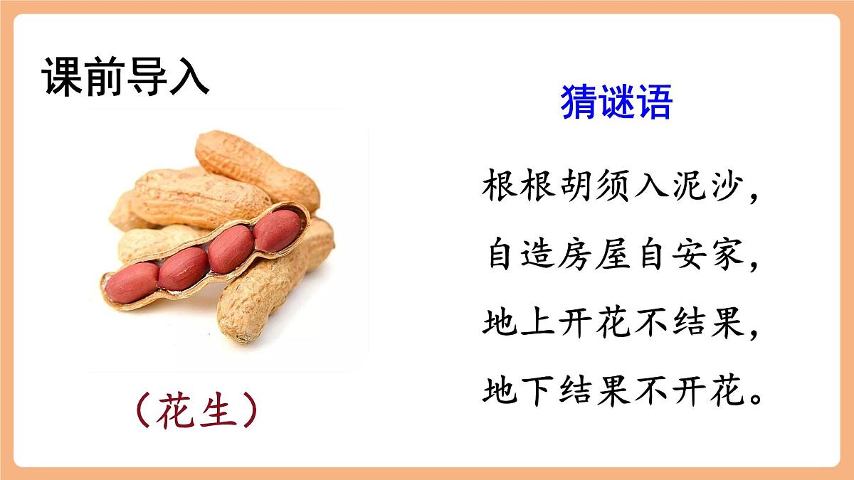 部编版五年级上册2落花生第1课时第2页