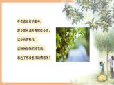 【新課標核心素養(yǎng)】部編版語文五年級上冊3桂花雨（第2課時）（課件+教學設(shè)計+音頻+學習任務(wù)單+練習）