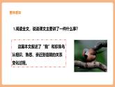 【新課標核心素養(yǎng)】部編版語文五年級上冊4珍珠鳥（課件+教學設計+音頻+學習任務單+練習）