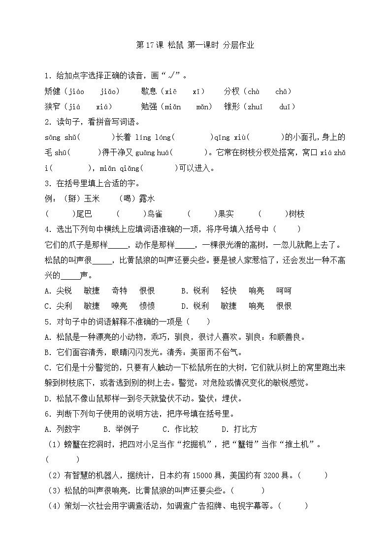 17 松鼠 第一课时分层练习第1页
