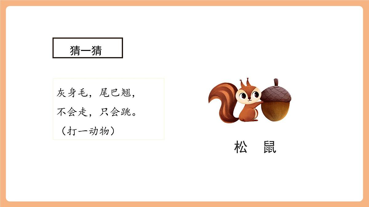17 松鼠 第一课时课件第2页