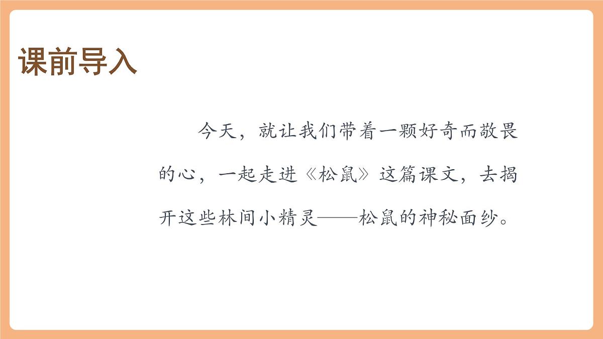 17 松鼠 第一课时课件第3页