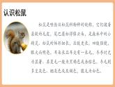 【新課標(biāo)核心素養(yǎng)】部編版語(yǔ)文五年級(jí)上冊(cè)17松鼠（第1課時(shí)）（課件+教學(xué)設(shè)計(jì)+音頻+學(xué)習(xí)任務(wù)單+練習(xí)）