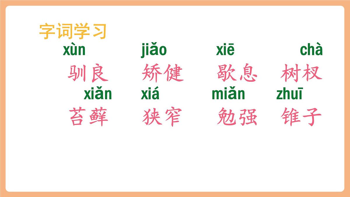 17 松鼠 第一课时课件第7页