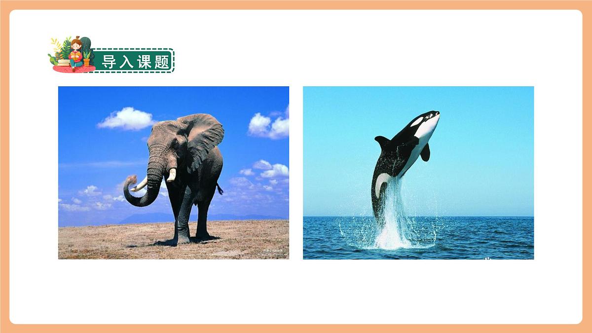 习作例文  课件第2页